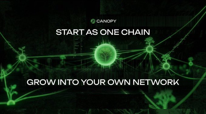 A dark green promotional image for Canopy features interconnected glowing tree-like nodes against a black background, with the tagline "START AS ONE CHAIN" above and "GROW INTO YOUR OWN NETWORK" below the Canopy logo. The visual of branching, nurturing networks directly illustrates the post's message about Canopy's Recursive Security model, where new L1 chains start as single entities and grow into interconnected networks that can incubate and support additional chains.