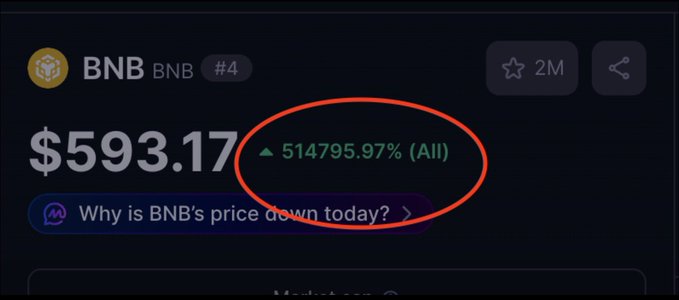 The image shows a cryptocurrency tracker displaying BNB (Binance Coin) ranked #4 with a current price of $593.17 and a staggering 514,795.97% all-time gain, visually supporting the claim that BNB has been one of the best-performing altcoins since its launch. The dramatic percentage highlights BNB's exceptional long-term returns for early investors.