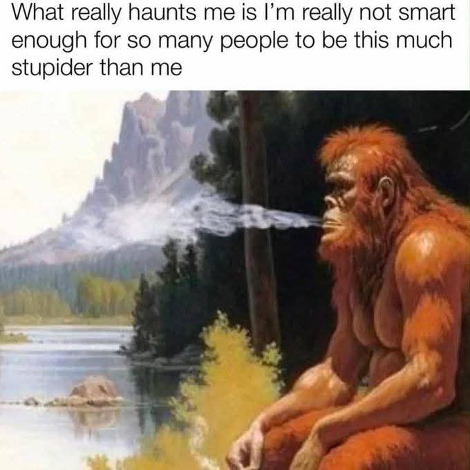 A popular meme featuring an illustration of a red ape-like creature spraying water from its mouth, with text reading 'What really haunts me is I'm really not smart enough for so many people to be this much stupider than me.'