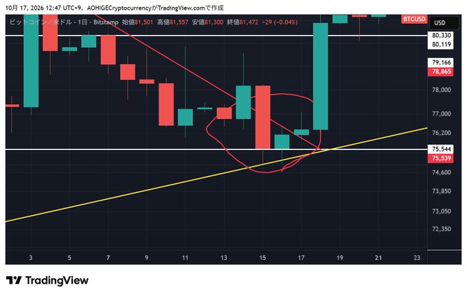 A Bitcoin/USD daily candlestick chart from October 17, 2024 shows BTC trading at $81,472 with a key support level around $75,539 and resistance near $79,166, illustrating how the price appeared poised for a bearish drop before rebounding sharply—exemplifying the post's observation about Bitcoin's tendency to defy expected bearish price action.
