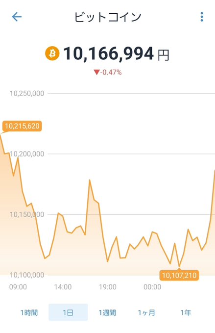 A Bitcoin price chart showing 10,166,994 yen, down 0.47%, with a 1-day view displaying fluctuations between 10,107,210 and 10,215,620 yen.