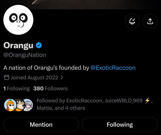 A Twitter/X profile page for 'Orangu' (@OranguNation) with a panda-like profile picture, showing 380 followers, joined August 2022, and a bio stating 'A nation of Orangu's founded by @ExoticRaccoon'.