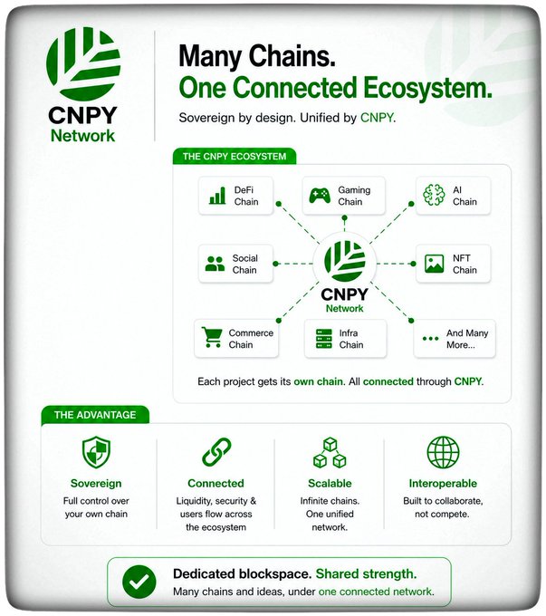 An infographic for 'CNPY Network' titled 'Many Chains. One Connected Ecosystem.' showing a diagram of connected chains including DeFi, Gaming, AI, Social, NFT, Commerce, and Infra, with advantages listed as Sovereign, Connected, Scalable, and Interoperable.