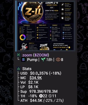 A Discord-style info card for the 'zoom' ($ZOOM) meme coin, displaying market cap stats ($978.3M), 18% pump, and community links.