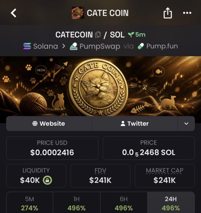 A cryptocurrency token page for 'CATE COIN' (CATECOIN/SOL) showing a price of $0.0002416, $40K liquidity, and $241K market cap with significant percentage gains.