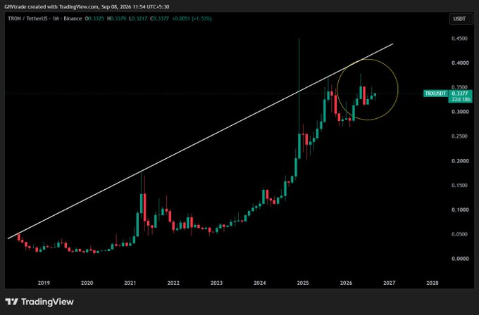 A TradingView monthly candlestick chart for TRON/USDT from 2019-2027 showing an upward trend line with current price at 0.3177, with a yellow circle highlighting recent candles near resistance.
