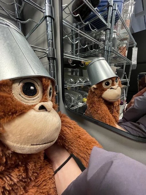 A brown stuffed monkey wearing a small metal bucket on its head, being held in front of a mirror that reflects its image.