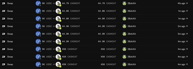 A screenshot of cryptocurrency swap transactions showing 5K USDC being exchanged for approximately 44.7K-45K CASHCAT tokens, all sent to the same wallet address.