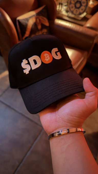A black baseball cap embroidered with '$DOG' (with a Bitcoin 'B' replacing the 'O') being held up by a hand.