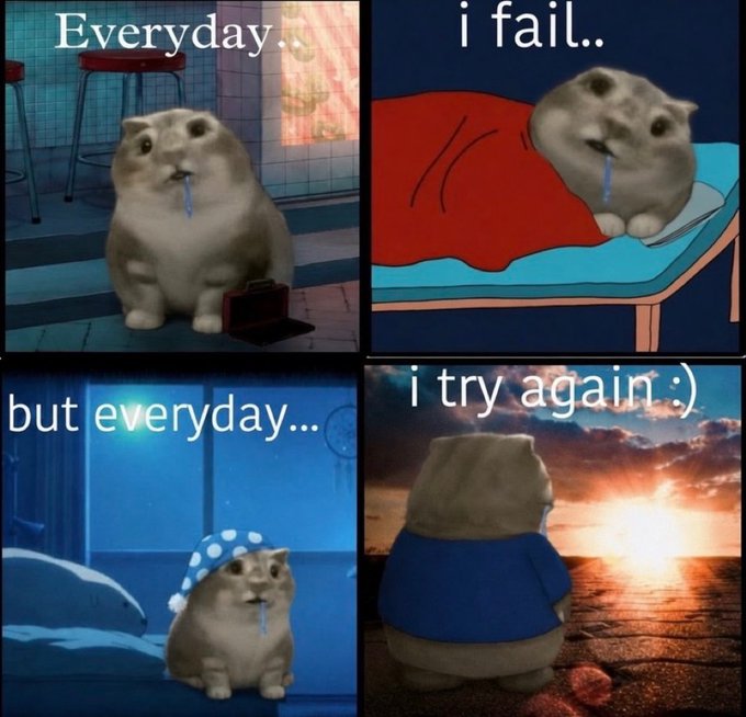 A four-panel meme featuring a sad cat with the text 'Everyday..', 'i fail..', 'but everyday...', and 'i try again :)', depicting the cat drooling in various settings and finally watching a sunset.
