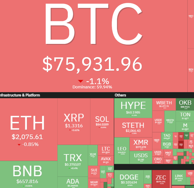 The image shows a list of cryptocurrency market trends, including Bitcoin. The text "BNB" is found multiple times within this list and is placed at various locations throughout the image. This information can be valuable for those interested in tracking and analyzing cryptocurrency markets.