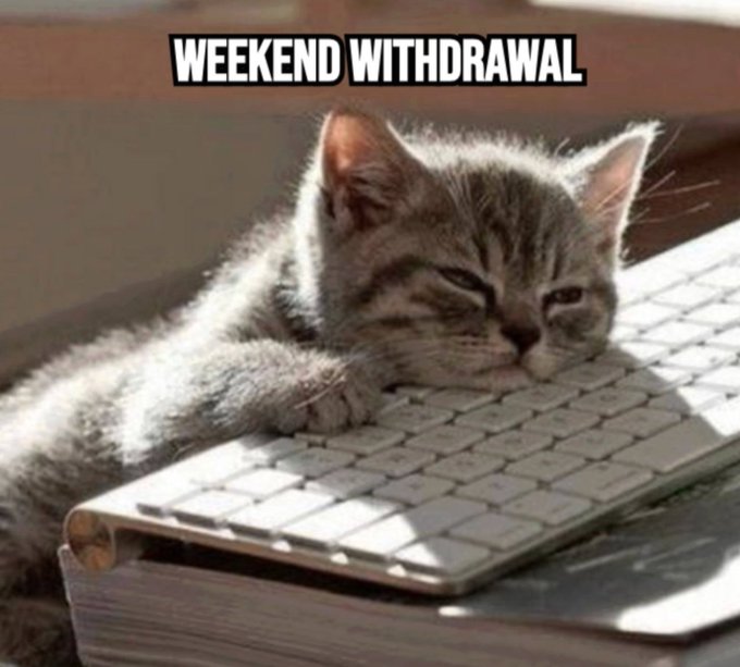 A sleepy gray tabby kitten rests its head on a white keyboard, with the caption "WEEKEND WITHDRAWAL" displayed at the top, humorously capturing the post's theme of the post-weekend slump before diving back into coding with @quipnetwork.