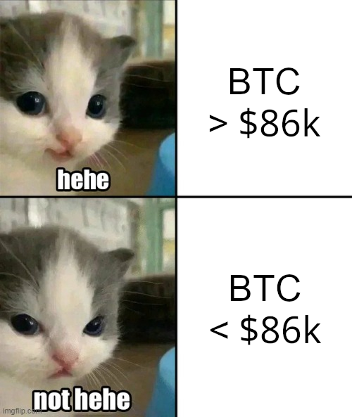 A two-panel meme featuring a sad-looking kitten; the top panel labeled 'hehe' shows 'BTC > $86k' and the bottom panel labeled 'not hehe' shows 'BTC < $86k'.
