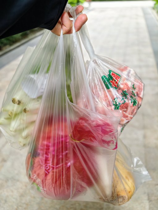 A hand holds two clear plastic grocery bags filled with fresh produce including tomatoes, vegetables, and other items, with Asian text printed on the bags.