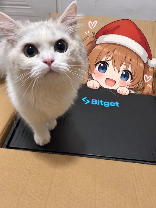 A fluffy white cat with large eyes sits inside a cardboard box next to a black Bitget-branded package and an anime girl wearing a Santa hat sticker.