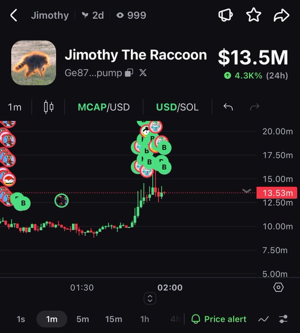 A trading chart on a memecoin platform showing "Jimothy The Raccoon" with a market cap of $13.5M, up 4.3K% in 24 hours, displayed in USD/SOL with green and red candlesticks.
