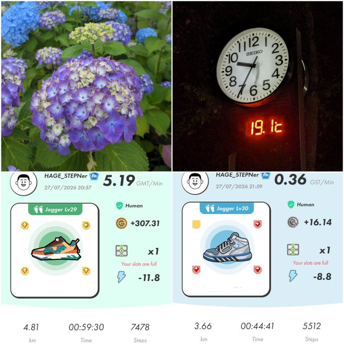 A collage of four images: purple and blue hydrangea flowers, a Seiko clock displaying '19.1°C', and two STEPN app screenshots showing 'Jogger Lv29' and 'Jogger Lv30' sneaker NFTs.