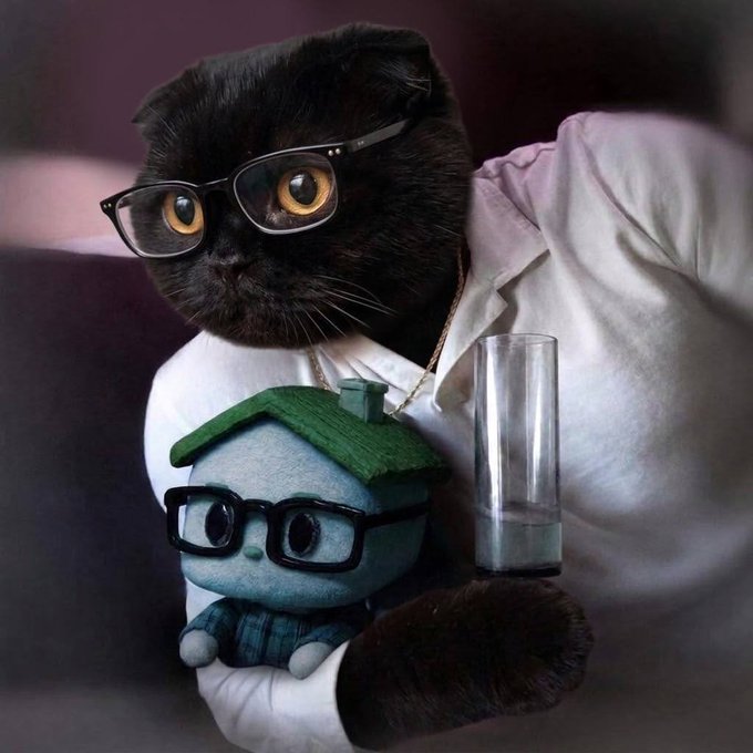 A black cat wearing black-rimmed glasses and a white lab coat holds a small plush toy resembling a house with a face and glasses, while also holding an empty glass cylinder, styled like a scientist.