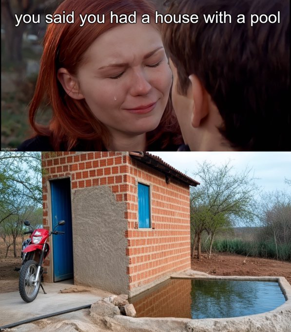 The meme features a crying woman in the top panel with the caption "you said you had a house with a pool," contrasted with a bottom panel showing a modest brick outhouse with a small pool of water beside it. It humorously relates to the "$ALGO holder 100%" post by mocking the gap between crypto investors' lofty expectations and the underwhelming reality of their actual returns.