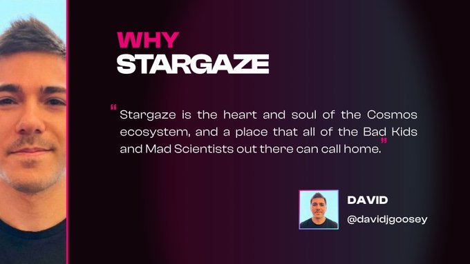 The image features a man's face, with the text "WHY STARGAZE" written above his head. The background of the image is black, which contrasts with the white text. Below the text, there are two lines of text that read "Stargaze is the heart and soul of the Cosmos ecosystem, and a place that all of the Bad Kids and Mad Scientists out there can call home." This quote seems to be related to the post about why someone should star gaze.