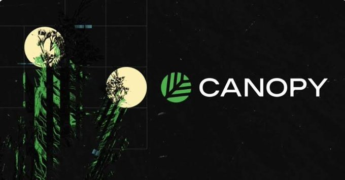 The 'CANOPY' logo appears in white text with a green leaf icon against a dark background featuring moonlit palm trees.