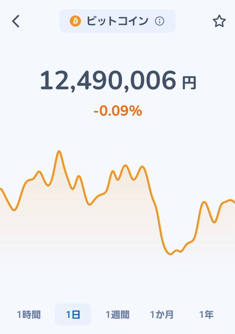A cryptocurrency tracking app showing the Bitcoin price at 12,490,006 円 with a -0.09% change and an orange line chart over a 1-day period.
