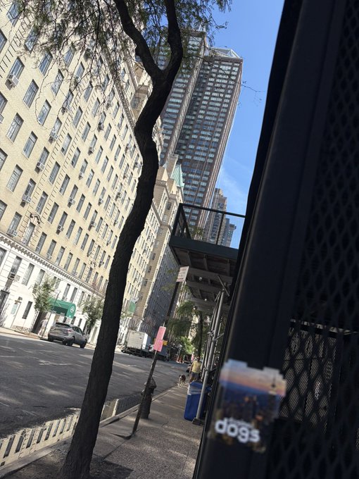 A street-level view looking up at tall buildings in a city, framed by a tree trunk on the left and a black metal pole on the right that has a sticker reading 'dogs' on it.