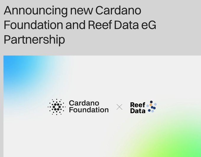 The image is an announcement graphic for the partnership between the Cardano Foundation and Reef Data eG, featuring both logos alongside an "×" symbol against a blue, green, and white gradient background with the heading "Announcing new Cardano Foundation and Reef Data eG Partnership."