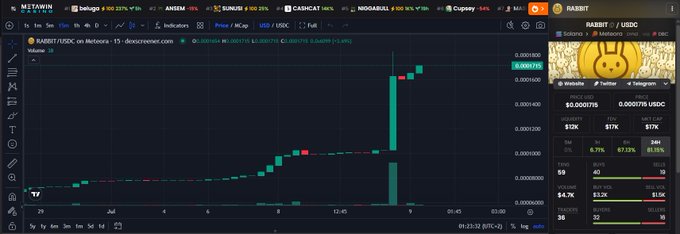 A MetaMask-style DeFi trading interface showing a RABBIT/USDC token chart on Dogechain with massive recent price surge visible in the candlesticks.