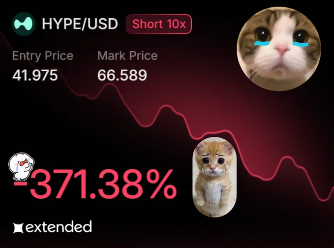 The image depicts a cat with red eyes, a sad look, and two other drawings of cats placed next to each other on a graph which shows an upward trend with a downward slope, possibly symbolizing financial markets or trends depicted through a visual form. This is likely a screenshot from a social media platform, like Instagram or Twitter, where the post was captioned in a way that seems to convey some sort of emotion towards it. The caption reads: "Please send this cat to my entry ser Hyperliquid". The caption is also in all capital letters and appears to be quite long.