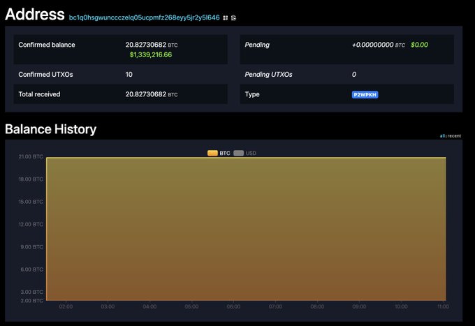 A Bitcoin blockchain explorer dashboard showing an address with a confirmed balance of 20.82730682 BTC (~$1,339,216.66) and an empty balance history chart.