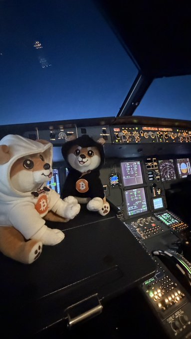 Two stuffed Shiba Inu mascots wearing Bitcoin-themed hoodies sit in an airplane cockpit at night.