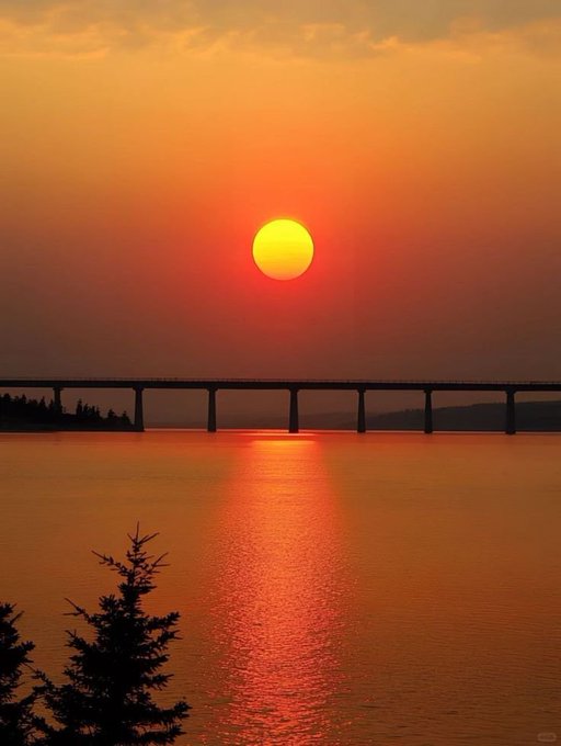 A serene sunset over a body of water with a long bridge stretching across the horizon and a silhouetted pine tree in the foreground.