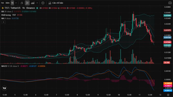 A financial trading chart in Vietnamese titled 'TST / TetherUS · 1h · Binance' displaying candlestick price action, a moving average line, and MACD indicator, with values including price 0.01563 and a 24-hour change of -0.00006 (-0.38%).