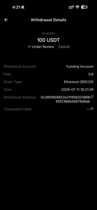 A mobile phone screenshot showing a 'Withdrawal Details' page for 100 USDT, status 'Under Review', via Ethereum (ERC20), with a transaction hash listed.