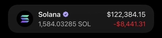 A screenshot displays a crypto portfolio entry showing a Solana (SOL) holding of 1,584.03285 SOL valued at $122,384.15, with a loss of -$8,441.31 indicated in red, presented alongside a promotional post claiming massive early-call gains on meme coins like $ANSEM, $CASHCAT, and $JIMOTHY to lure users into a Telegram group.