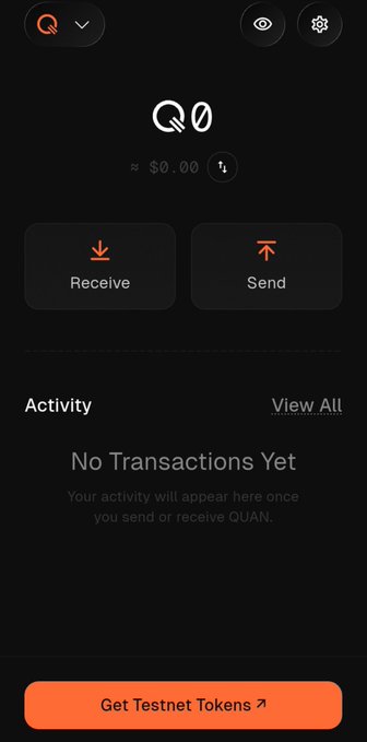 A mobile cryptocurrency wallet interface showing a 'Q' (QUAN) balance of $0.00 with Receive and Send buttons, an empty Activity section, and a 'Get Testnet Tokens' button at the bottom.