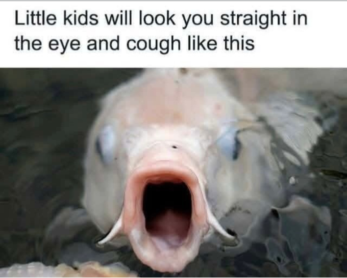 A meme featuring a pale, wide-mouthed fish in water with the caption 'Little kids will look you straight in the eye and cough like this'.