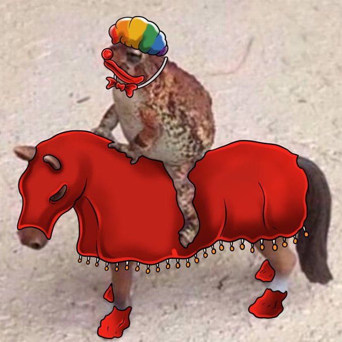 A humorous digitally edited image shows a small horse/pony wearing a red circus clown costume with orange tassels and red boots, with a cat wearing a rainbow clown wig and red bow tie riding on its back, perfectly illustrating the post's "clowns are out" reference about a $TOA reversal.