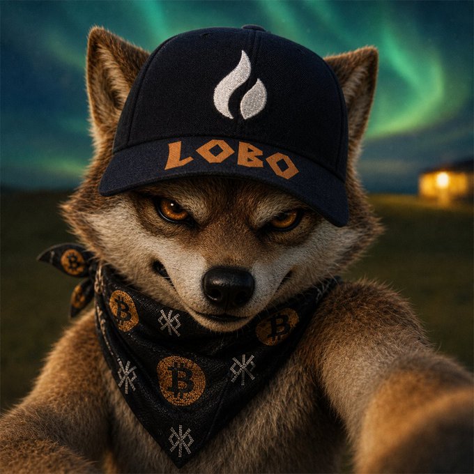 A digital illustration of a fox wearing a dark baseball cap with a flame logo and 'LOBO' text, along with a bandana featuring Bitcoin symbols, set against a northern lights background.
