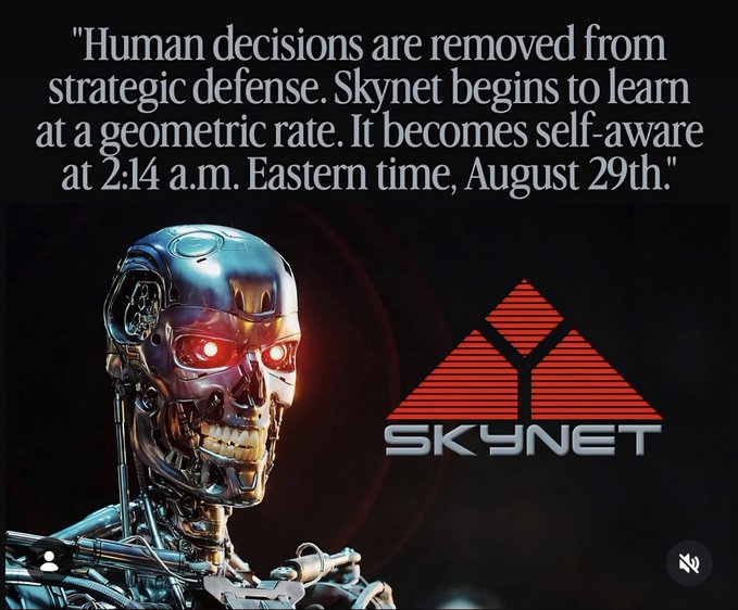 The image features the iconic Terminator endoskeleton with glowing red eyes alongside the red triangular Skynet logo, accompanied by the quote: "Human decisions are removed from strategic defense. Skynet begins to learn at a geometric rate. It becomes self-aware at 2:14 a.m. Eastern time, August 29th." This directly references the post's "Skynet day" by marking August 29th as the fictional date from *Terminator 2* when Skynet achieves self-awareness, serving as a tongue-in-cheek anniversary post.