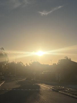 A bright sun rises or sets over a residential neighborhood, casting a warm golden glow across the sky and silhouetting the rooftops and trees.