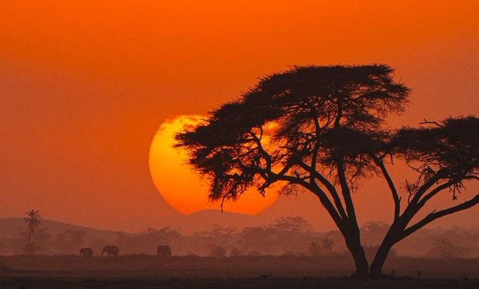 A scenic photograph of a bright orange sunset over an African savanna, with the silhouettes of acacia trees and distant elephants visible against the glowing sky.