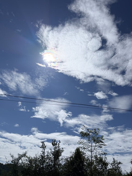 A bright blue sky with white clouds, the sun shining through creating lens flare, with power lines and treetops visible at the bottom of the frame.