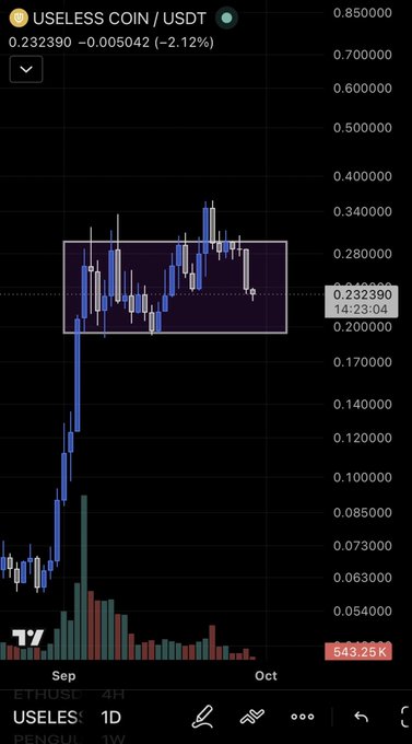 A TradingView candlestick chart showing USELESS COIN/USDT trading at 0.232390 (-2.12%), displaying price action from September to October with a highlighted rectangular area showing consolidation between approximately 0.25-0.30.