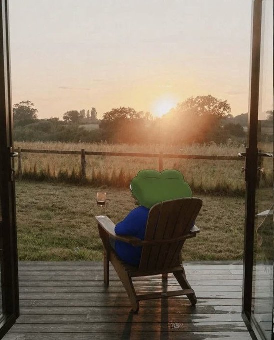 A Pepe the Frog character sits in a wooden Adirondack chair on a deck, holding a glass of wine while watching a sunset over a field.