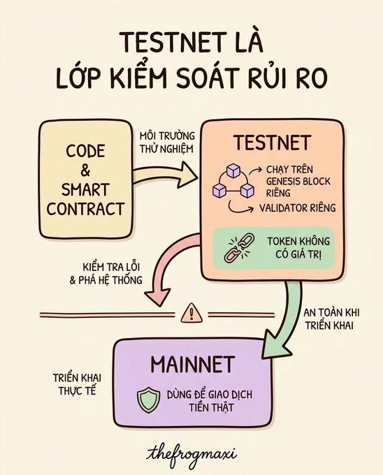 A Vietnamese infographic explaining that testnets are a risk control layer, showing the flow from Code & Smart Contracts through Testnet to Mainnet, credited to 'thefrogmaxi'.