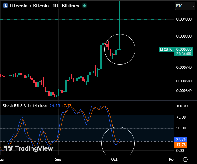 A TradingView chart showing the Litecoin/Bitcoin (LTCBTC) daily ratio at 0.000830 with Stochastic RSI indicators at 24.25 and 17.78, with white circles highlighting recent price action.