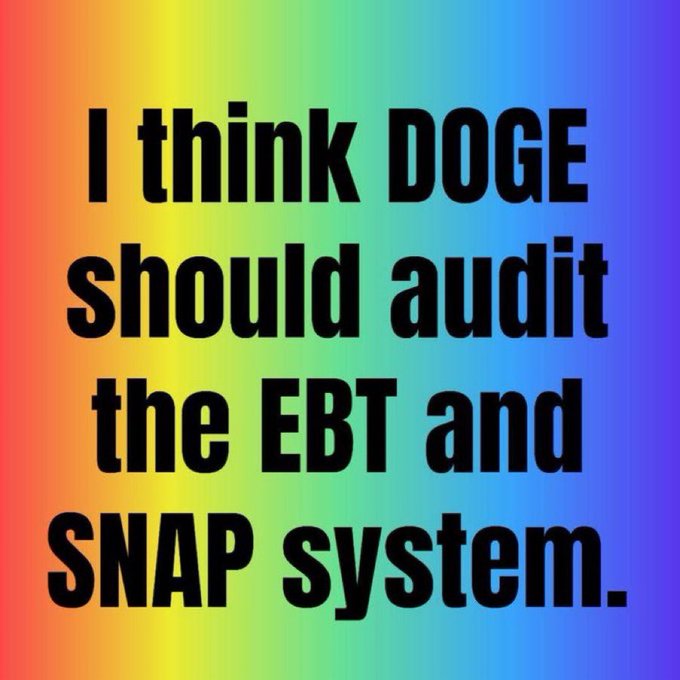 A graphic with a rainbow gradient background featuring the text: "I think DOGE should audit the EBT and SNAP system."