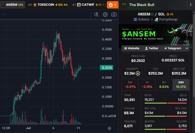 A cryptocurrency trading chart and data panel for the token '$ANSEM' on the Solana blockchain, showing a price of $0.2522, a market cap of $252.2M, and 24-hour gains of 16.31%.